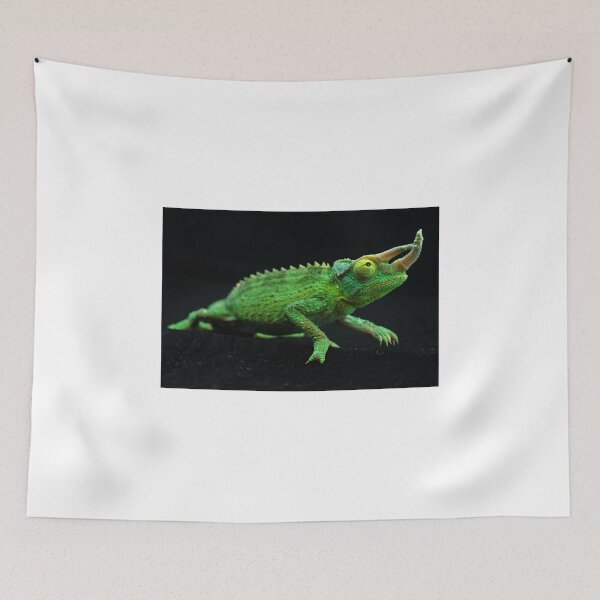 Item preview, Jackson's Chameleon designed and sold by Alan Brazzel.