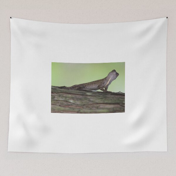 Item preview, Lizard on a log - Wonderful photo of an Anole lizard designed and sold by Very Peculiar.