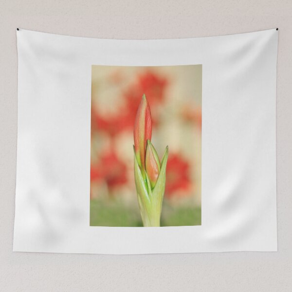 Item preview, Hippeastrum Flower - Beautiful Red Romance designed and sold by LivingWild.