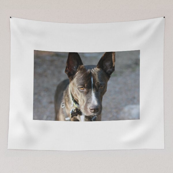 Item preview, Ruger. designed and sold by Zedidiah Sterner.