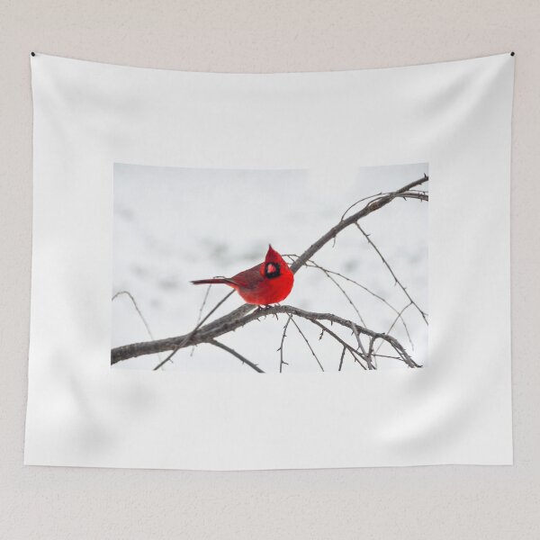 Item preview, Cardinal On A Branch  designed and sold by mcstory.