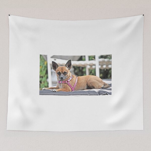 Item preview, NO I WON'T SMILE FOR THE CAMERA designed and sold by JAYMILO.