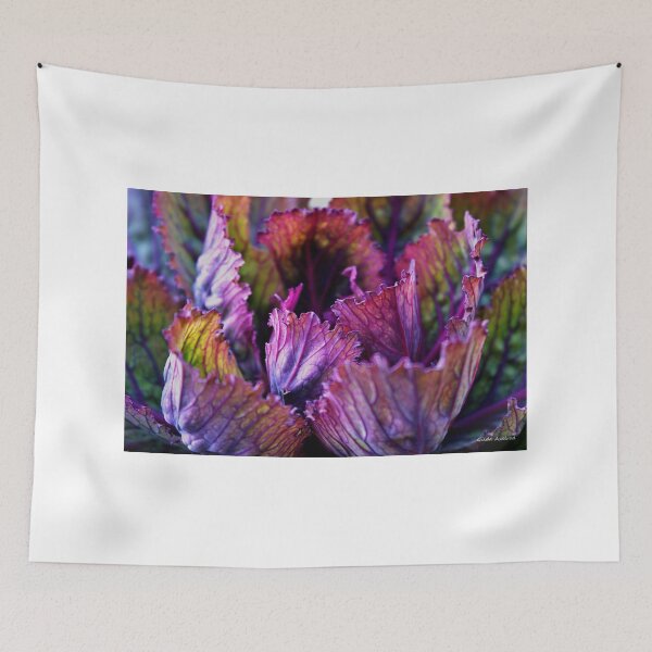 Item preview, Ornamental Cabbage Rainbow designed and sold by Gilda Axelrod.