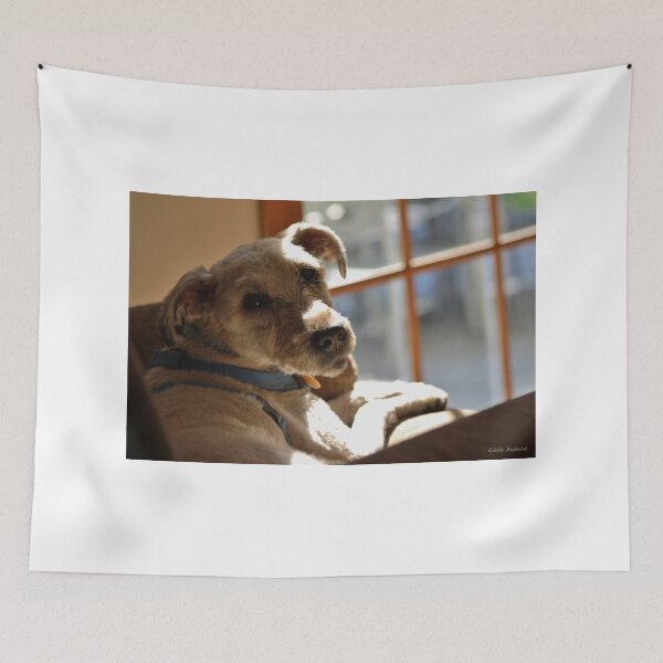 Item preview, Joey in the Light designed and sold by Gilda Axelrod.
