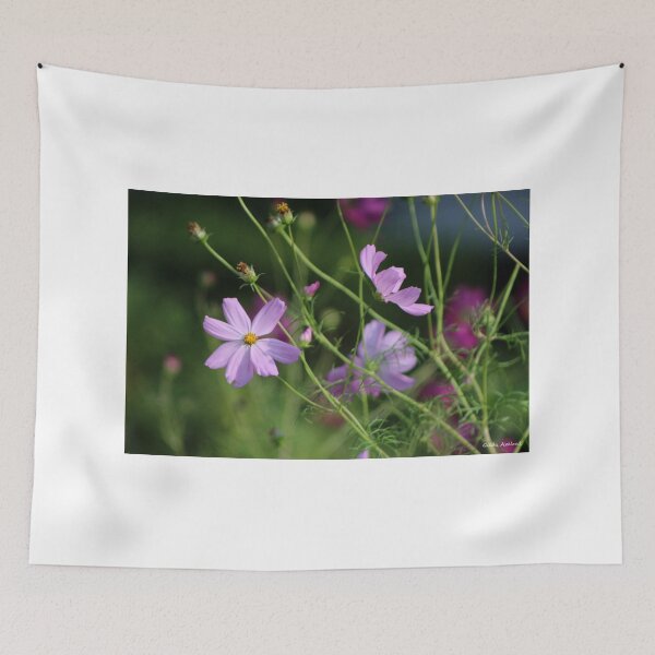 Item preview, Cosmos designed and sold by Gilda Axelrod.