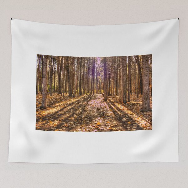 Item preview, Light in the Forest designed and sold by Jim Sauchyn.
