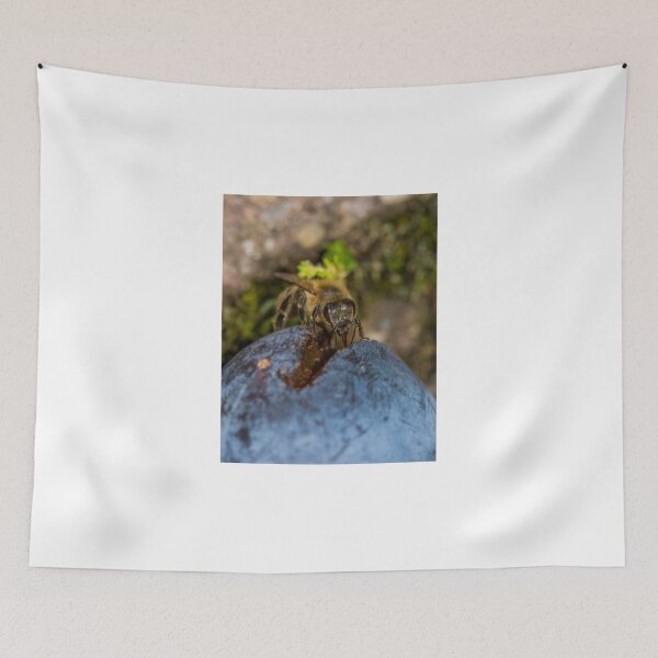 Item preview, Bee 12 designed and sold by Mark Bangert.
