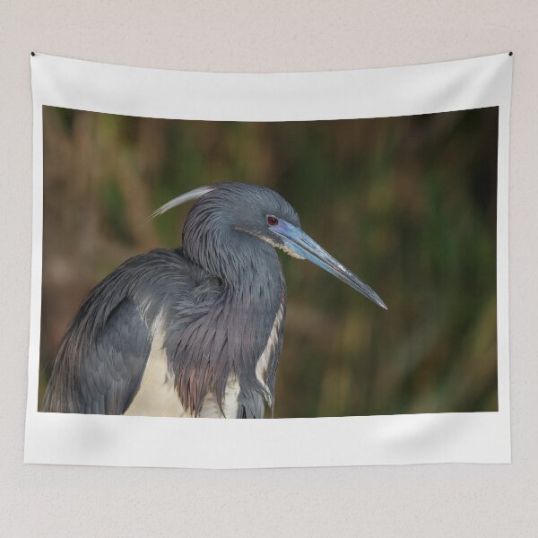 Item preview, Tri-colored Heron with breeding plumage designed and sold by Rob Lavoie.