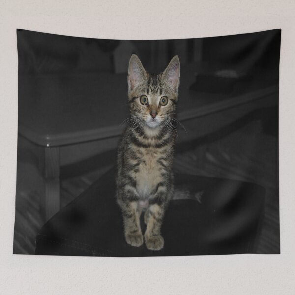 Item preview, George The Kitten designed and sold by peterhau.