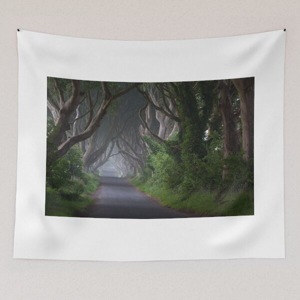 Item preview, Dark Hedges  Game of Thrones  Co Antrim  Northern Ireland designed and sold by Zdrojewski.