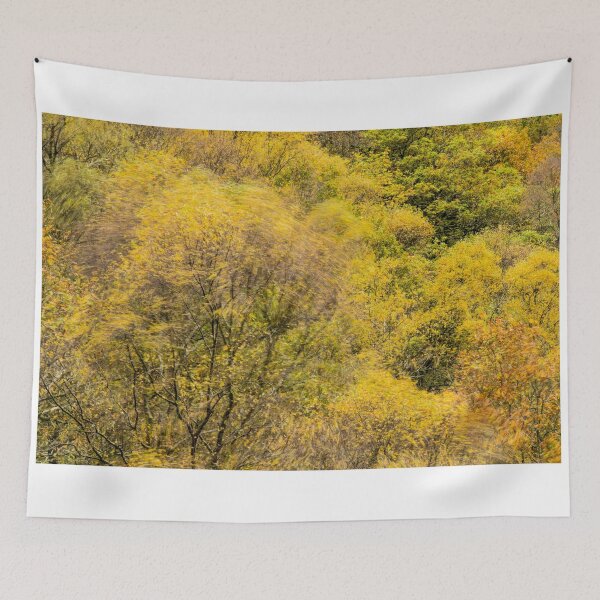 Item preview, Autumn Windy Woodland designed and sold by Cameranick.