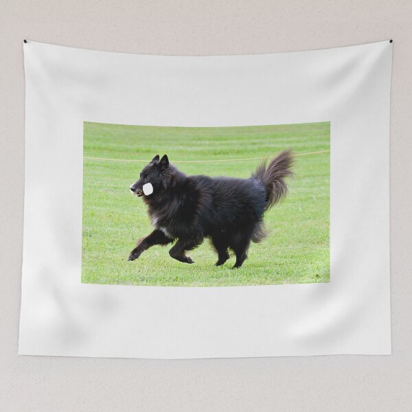 Item preview, 2015 Groenendael fetching dumbell designed and sold by Belgian Shepherd Dog Club of QLD Inc.