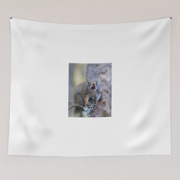 Item preview, Chatter Box - Red Squirrel - Algonquin Park, Canada designed and sold by James Cumming.