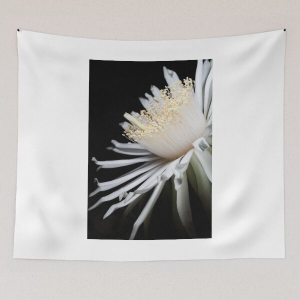 Item preview, Around Me designed and sold by Mario Morales Rubi.