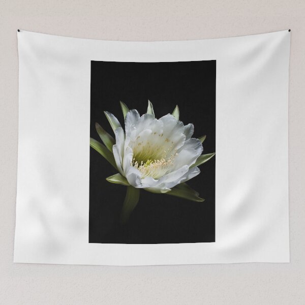 Item preview, Come Down to the Light designed and sold by Mario Morales Rubi.