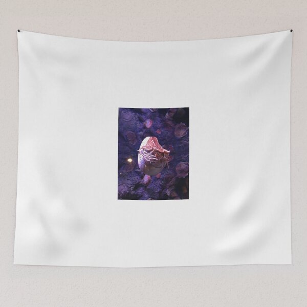 Item preview, Nautilus designed and sold by Kat Murphy-Nemsik.