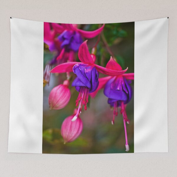 Item preview, October fuchsia designed and sold by Bryan Spellman.