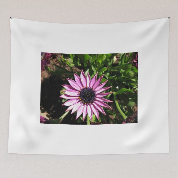 Item preview, Little Bundle of Sunshine - Sunlit Cape Daisy designed and sold by Kathryn Jones.