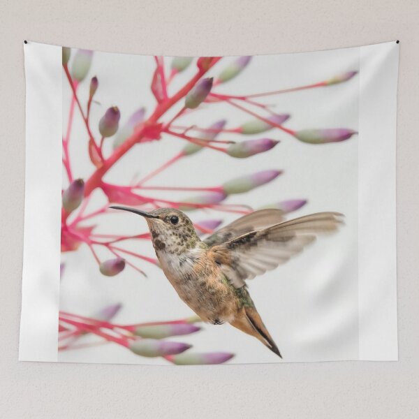 Item preview, Young Allen's Hummingbird designed and sold by MCHerdering Photography.