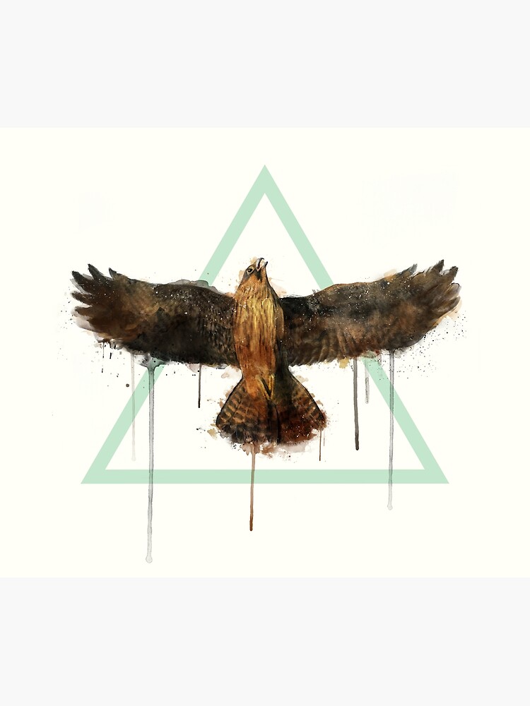 Falcon by AmyHamilton