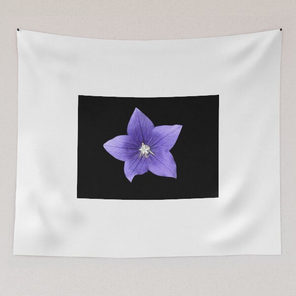Item preview, Pretty Little Purple Balloon Flower designed and sold by BlueMoonRose.