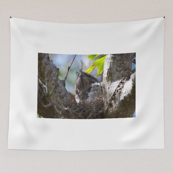 Item preview, A New Frogmouth Chick designed and sold by byronbackyard.