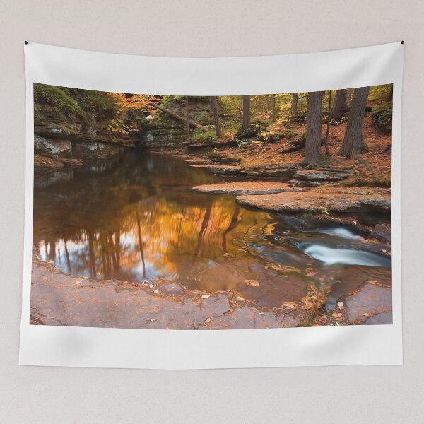 Item preview, Autumn Reflection At The Top of Adams Falls designed and sold by Gene Walls.
