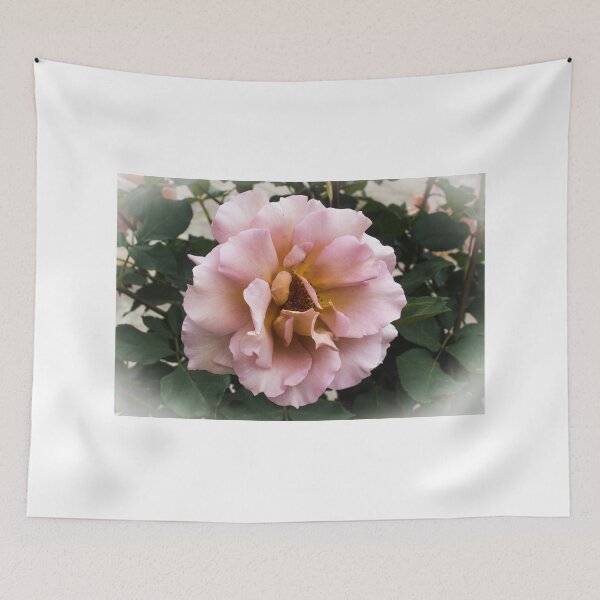 Item preview, Rose #7 designed and sold by shaynetwright.
