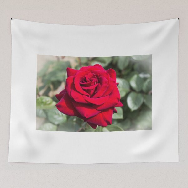 Item preview, Rose #10 designed and sold by shaynetwright.
