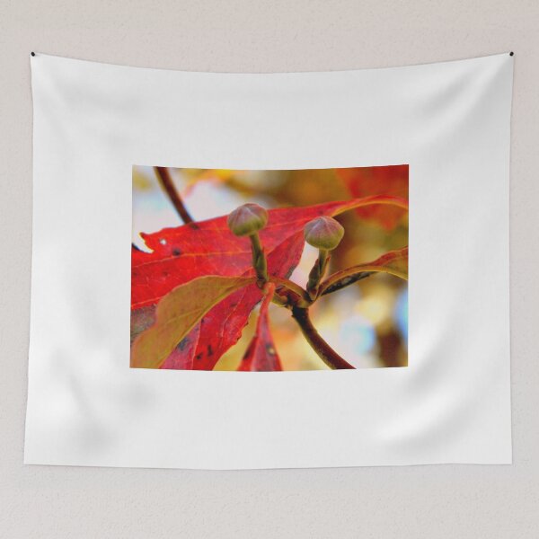 Item preview, Fall Walk in my Neighborhood -CloseUp     ^ designed and sold by ctheworld.