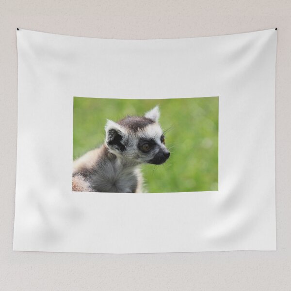 Item preview, Baby Lemur designed and sold by Jo Nijenhuis.