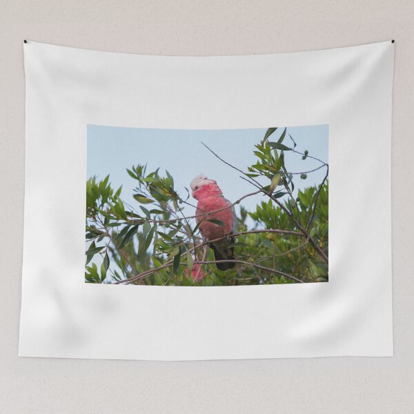 Item preview, Snacking At Dusk designed and sold by byronbackyard.