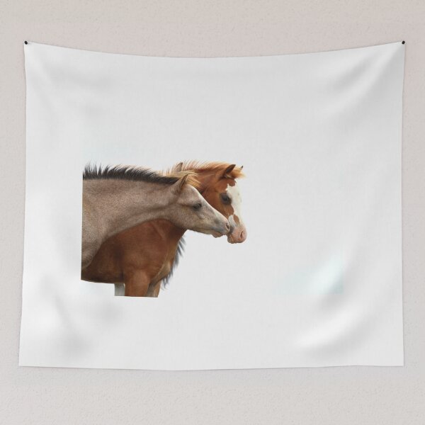 Item preview, Colt foals designed and sold by Rivington.