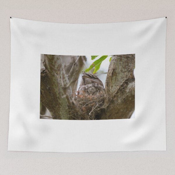 Item preview, Dads Snoozing designed and sold by byronbackyard.