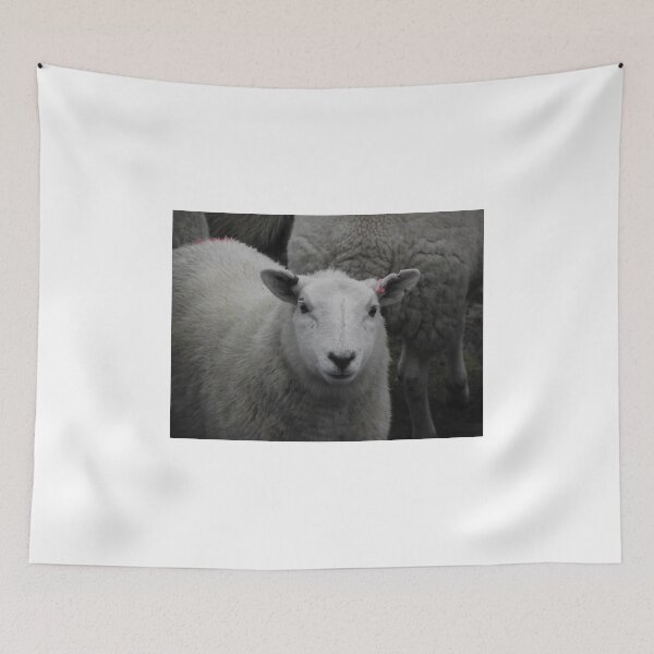 Item preview, Precious wee lamb designed and sold by PeterBarr.