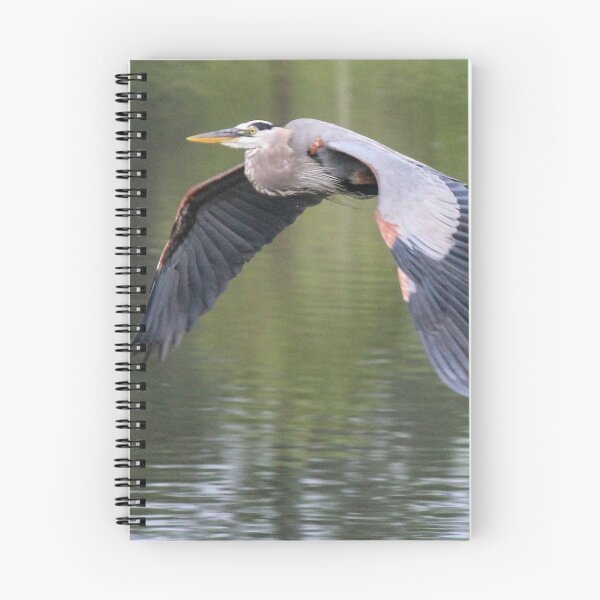 Item preview, Great Blue designed and sold by Bob Hardy.