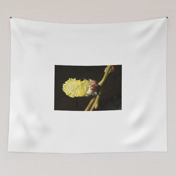 Item preview, Catkin designed and sold by Johindes.