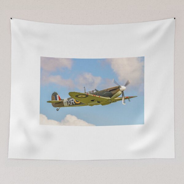 Item preview, Supermarine Spitfire Ia AR213 G-AIST designed and sold by Colin Smedley.