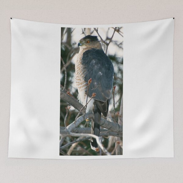 Item preview, Red Tail Hawk designed and sold by Robert Burdick.