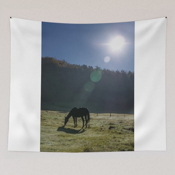 Item preview, Horse in the sunlight designed and sold by Tamas KLAUSZ.