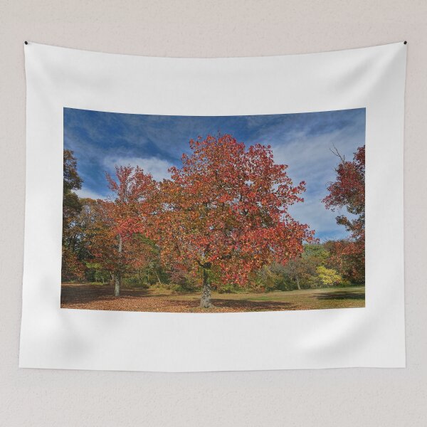 Item preview, The Last Breath of Autumn designed and sold by Lanis Rossi.