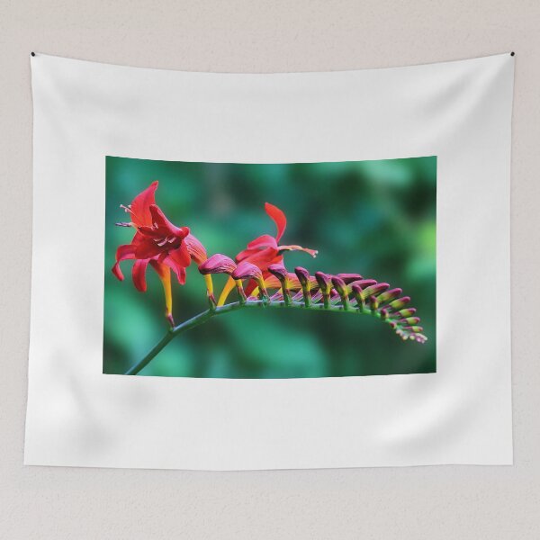 Item preview, Lily buds designed and sold by ikshvaku.