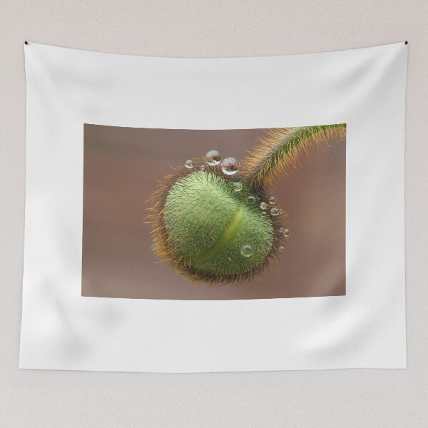Item preview, Poppy bud designed and sold by ikshvaku.