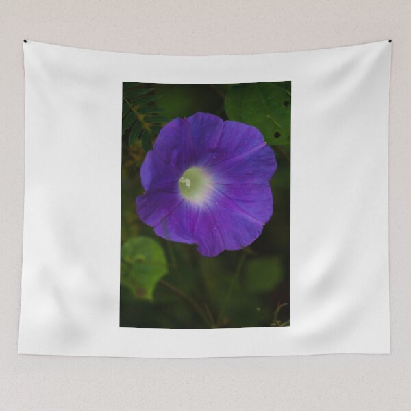 Item preview, Carnic Purple designed and sold by Mario Morales Rubi.