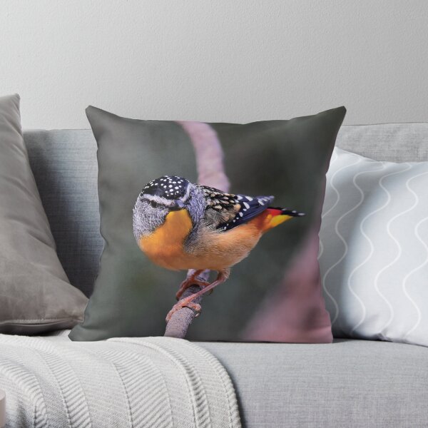 Spotted Pardalote Throw Pillow