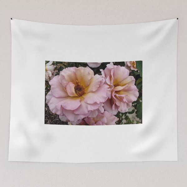 Item preview, Rose #6 designed and sold by shaynetwright.
