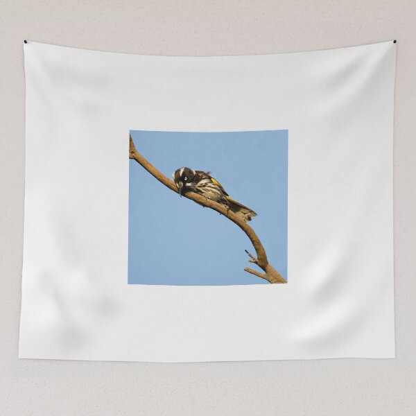 Item preview, New Holland Honey-Eater designed and sold by Sandra Chung.