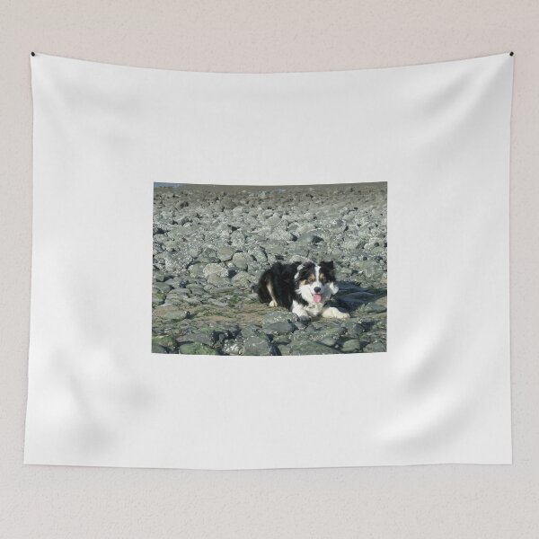 Item preview, Laddie Rocks. designed and sold by Michael Haslam.