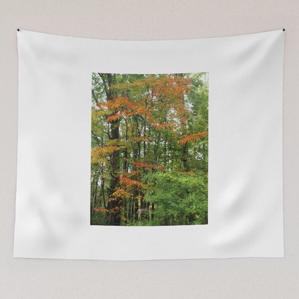 Item preview, Floating Colors designed and sold by Asoka.