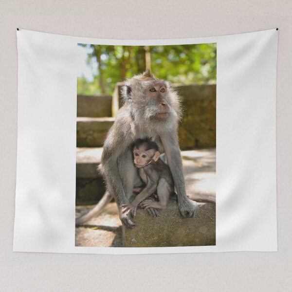 Item preview, Monkeys designed and sold by styles.